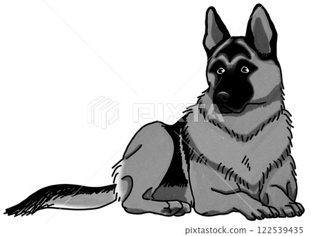 German Shepherd, black and white, transparent background, dog illustration 122539435