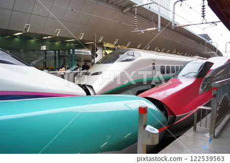 Shinkansen: Different types of coupling (E5, E6, E3, E2) 122539563