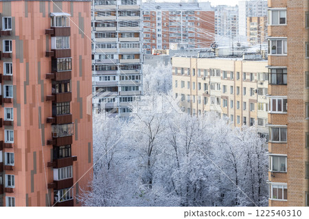 frozen tree in urban yard in city in winter day 122540310