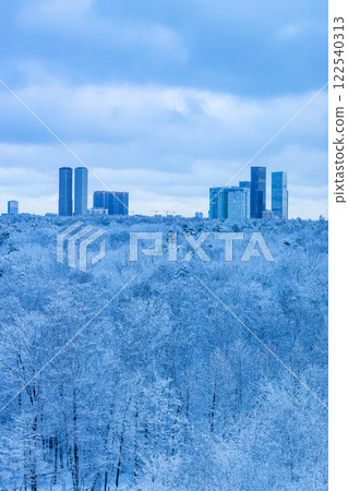 snowy city park and skyscraper in blue winter dusk snowy city park and skyscraper in blue winter dusk 122540313