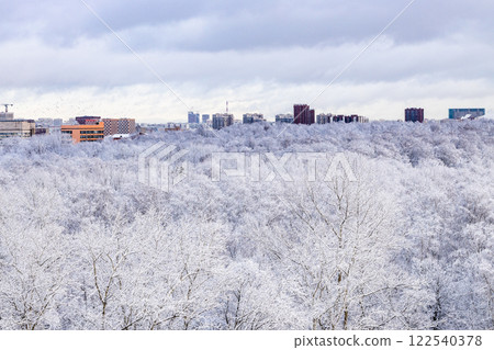 snow clouds and snow-covered park after snowing 122540378