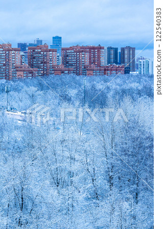 park and residential houses in blue winter dusk park and residential houses in blue winter dusk 122540383
