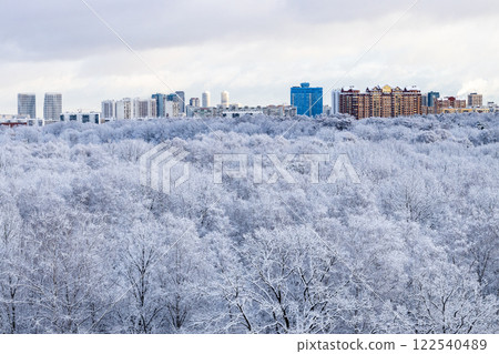 snow-covered city park after snowing in winter day 122540489