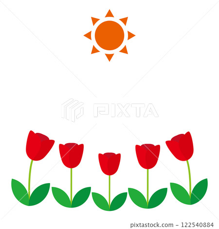 太陽和紅色的鬱金香簡單的春天圖像圖白色背景 122540884