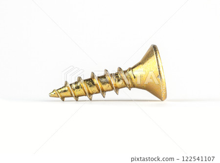 golden screw lies on a white surface ready for use in various projects 122541107