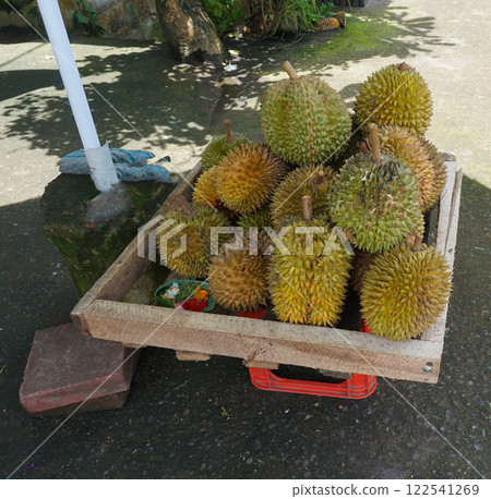 This is durian, This is a famous fruit from Indonesia Durian has a unique taste and strong aroma 122541269