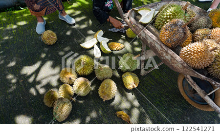 This is durian, This is a famous fruit from Indonesia Durian has a unique taste and strong aroma 122541271