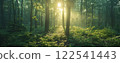 Sunlit forest path rays of light nature scene peaceful scenic environmental background. 122541443