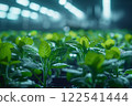 Young seedlings in tray growing fresh greenery farming cultivation agriculture. 122541444