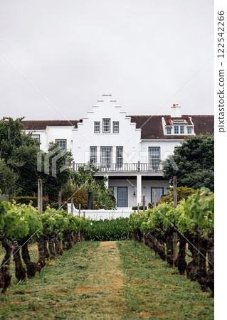 Small local winery in South Africa. White manor house, European architecture 122542266