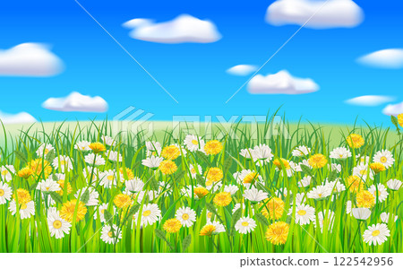 Summer landscape rural field green grass, daisy, dandelion flowers 122542956