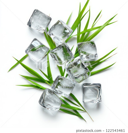ice cubes with leaves on a white background. studio photo 122543461