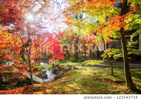 autumn foliage garden and sunlight of Eikando Temple, Kyoto, autumn foliage garden and sunlight of Eikando Temple, Kyoto, 122543734