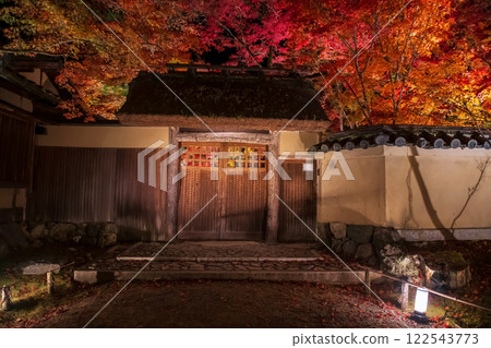 Wooden gate with colorful maple leaves light up, Hogonin temple 122543773
