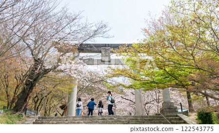 Family at torii gate by sakua  tunnel of Homangu Kamado shrine, Dazaifu 122543775