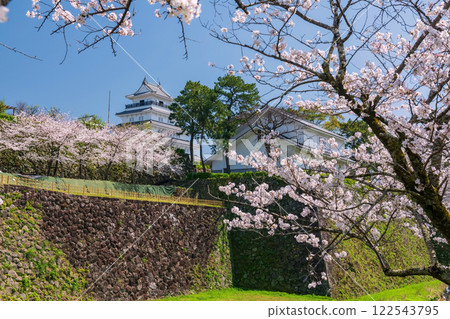 Shimabara castle with pink cherry sakura blossom, Nagasaki Shimabara castle with pink cherry sakura blossom, Nagasaki 122543795