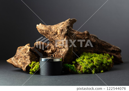 Abstract north nature composition and  podium for your product. 122544076