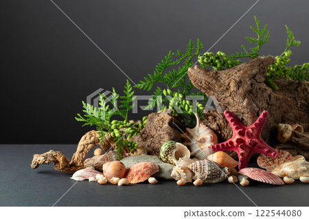 Abstract nature scene with a composition of seashell, starfish, green branches, and snags. 122544080