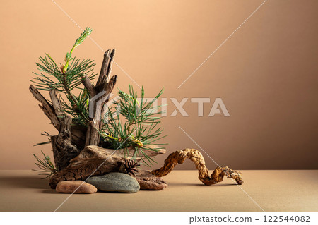 Abstract nature scene with a composition of pine branches, stones, and dry snags. Abstract nature scene with a composition of pine branches, stones, and dry snags. 122544082