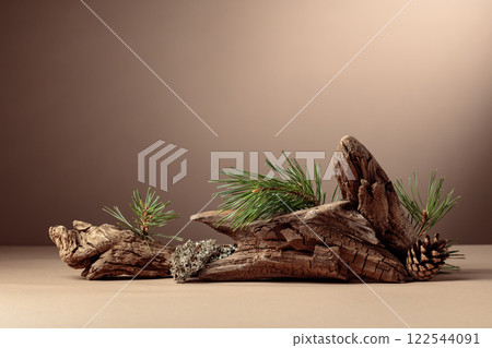 Abstract north nature scene with a composition of lichen, pine branches, and dry snags. 122544091