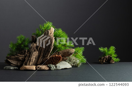 Abstract north nature scene with a composition of spruce branches, stones, and dry snags. Abstract north nature scene with a composition of spruce branches, stones, and dry snags. 122544093