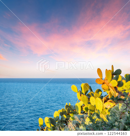 Awesome spring view on the the cape Milazzo panorama of nature reserve. Awesome spring view on the the cape Milazzo panorama of nature reserve. 122544163