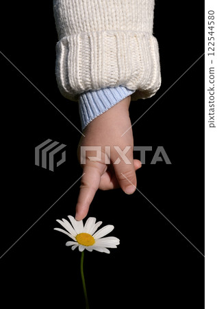 Baby touching a flower 122544580