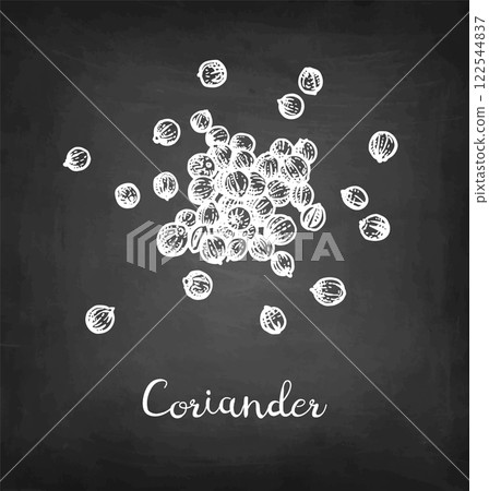 Coriander chalk sketch Coriander chalk sketch 122544837