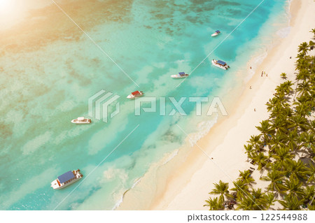 Tropical Caribbean beach from above, Dominican Republic 122544988