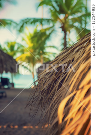 Tropical carribbean beach 122544989