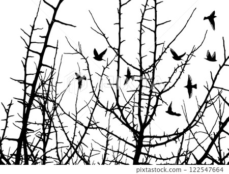 trees with flying birds. hand drawing. Not AI Vector illustration trees with flying birds. hand drawing. Not AI Vector illustration 122547664