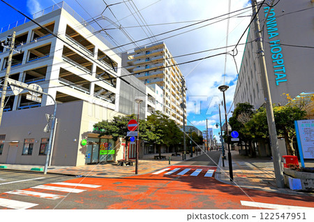Nakamachi Street, Sakata City 122547951
