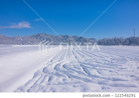 Soft snow fields and blue skies [Nagano Prefecture] 122548291