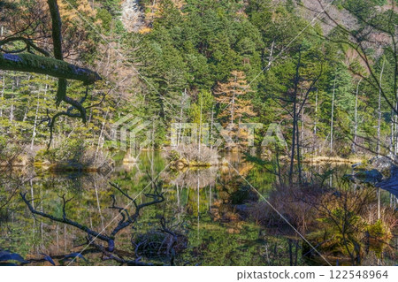 The quiet scene of Myojin Pond in late autumn The quiet scene of Myojin Pond in late autumn 122548964