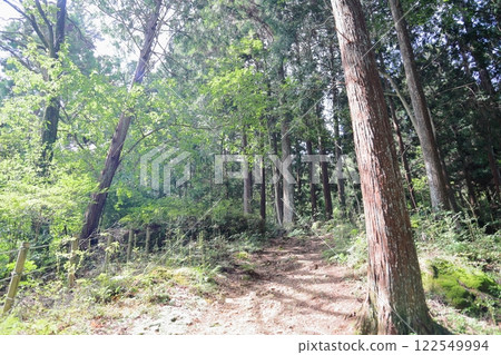 夏季山路 夏季山路 122549994