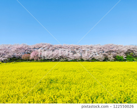 Gyodo神社 Gyodo神社 122550026