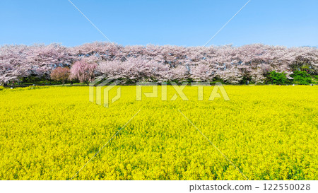 Gyodo神社 122550028