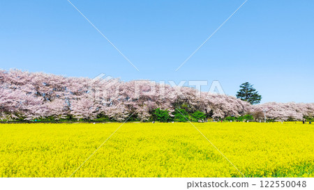 Gyodo Shrine Gyodo Shrine 122550048