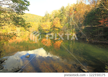 阿寒秋葉 122550175