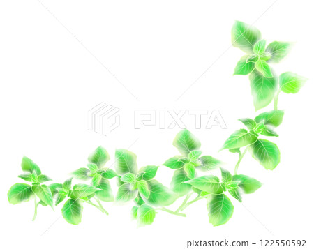 Mint refreshing green background material Mint refreshing green background material 122550592