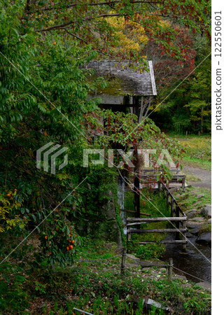 Landscape with watermill and rice fields 122550601