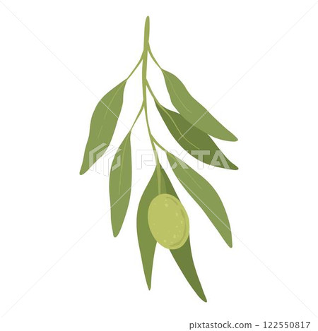Cartoon green olives. Organic olive leaf branch, organic vegetarian food for logo design, natural green olives healthy product. Vector isolated icon. 122550817