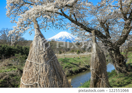 Oshino Hakkai Trail: Cherry blossoms in full bloom and the pristine countryside scenery of Oshino Fuji Oshino Hakkai Trail: Cherry blossoms in full bloom and the pristine countryside scenery of Oshino Fuji 122551066