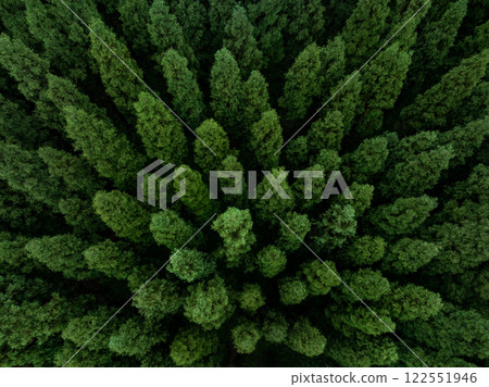 Aerial view of beautiful forest mountain landscape Aerial view of beautiful forest mountain landscape 122551946
