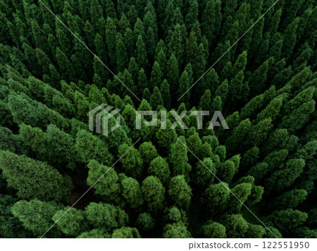 Aerial view of beautiful forest mountain landscape Aerial view of beautiful forest mountain landscape 122551950