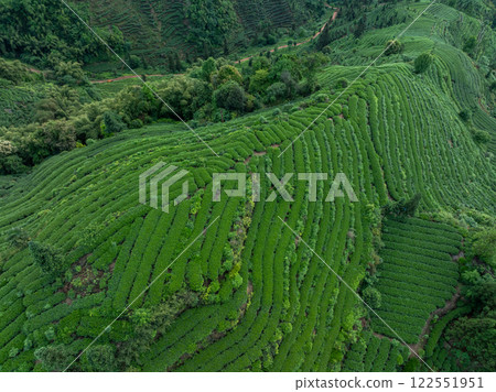 Aerial view of tea terrace landscape in China Aerial view of tea terrace landscape in China 122551951