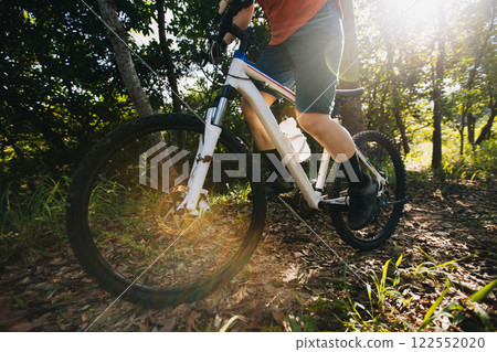 Mountain biking on summer forest trail 122552020