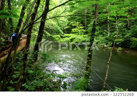 初夏的奧入瀨溪谷(青森縣十和田市) 初夏的奧入瀨溪谷(青森縣十和田市) 122552268