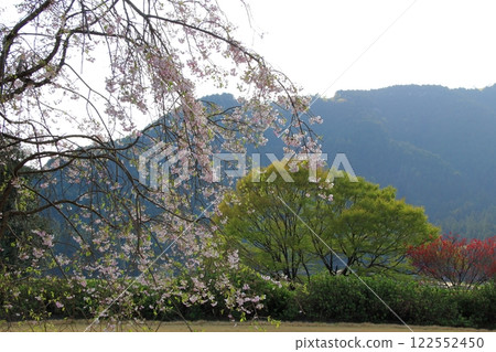 Peach Blossom Village Neoji 11 (Motosu City, Gifu Prefecture) Peach Blossom Village Neoji 11 (Motosu City, Gifu Prefecture) 122552450