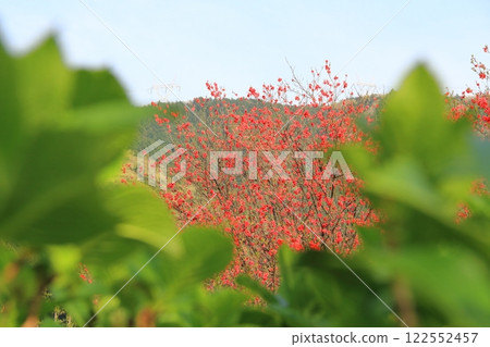 Peach Blossom Village Neoji 13 (Motosu City, Gifu Prefecture) 122552457